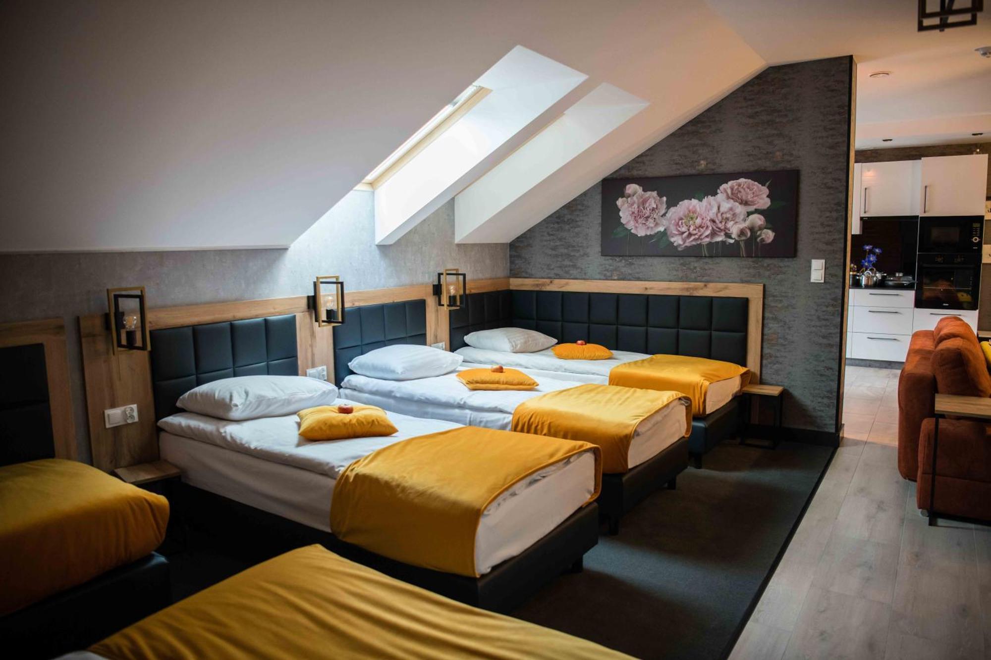 Apartment In Bukowina *